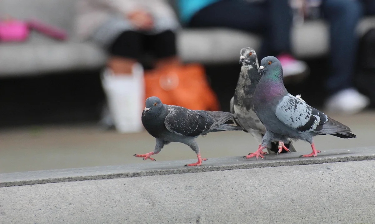 Quels sont les secrets des leaders qui inspirent durablement leurs équipes ?