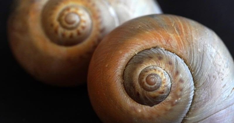 Deux devis identiques : les détails qui permettent de choisir